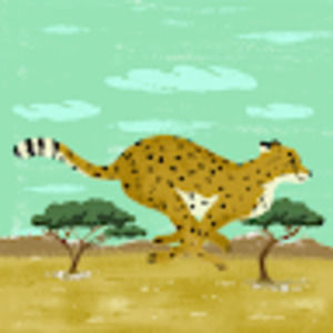 Meet your Posher, Olive